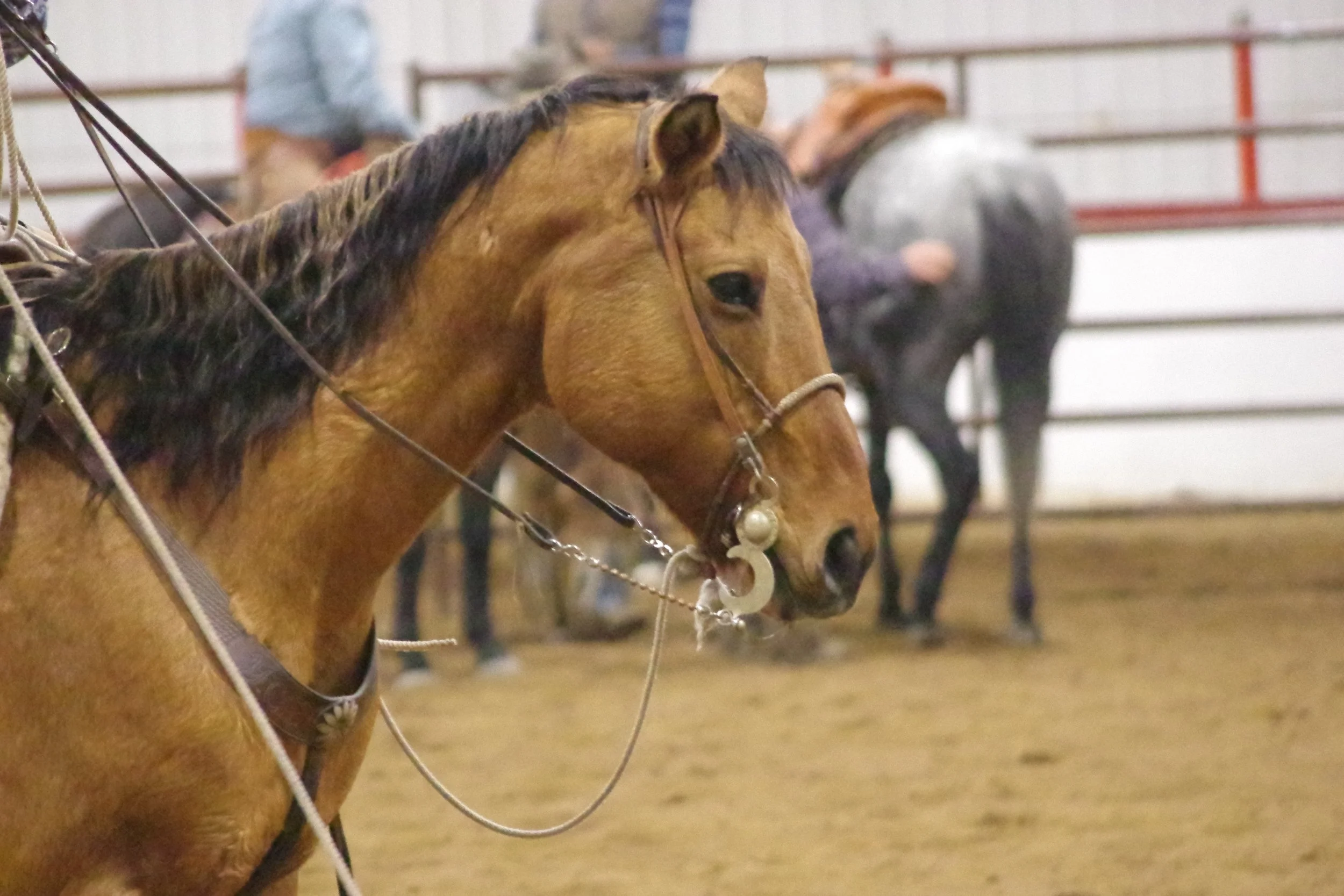 Waitin' for Spring: Winter Series #1