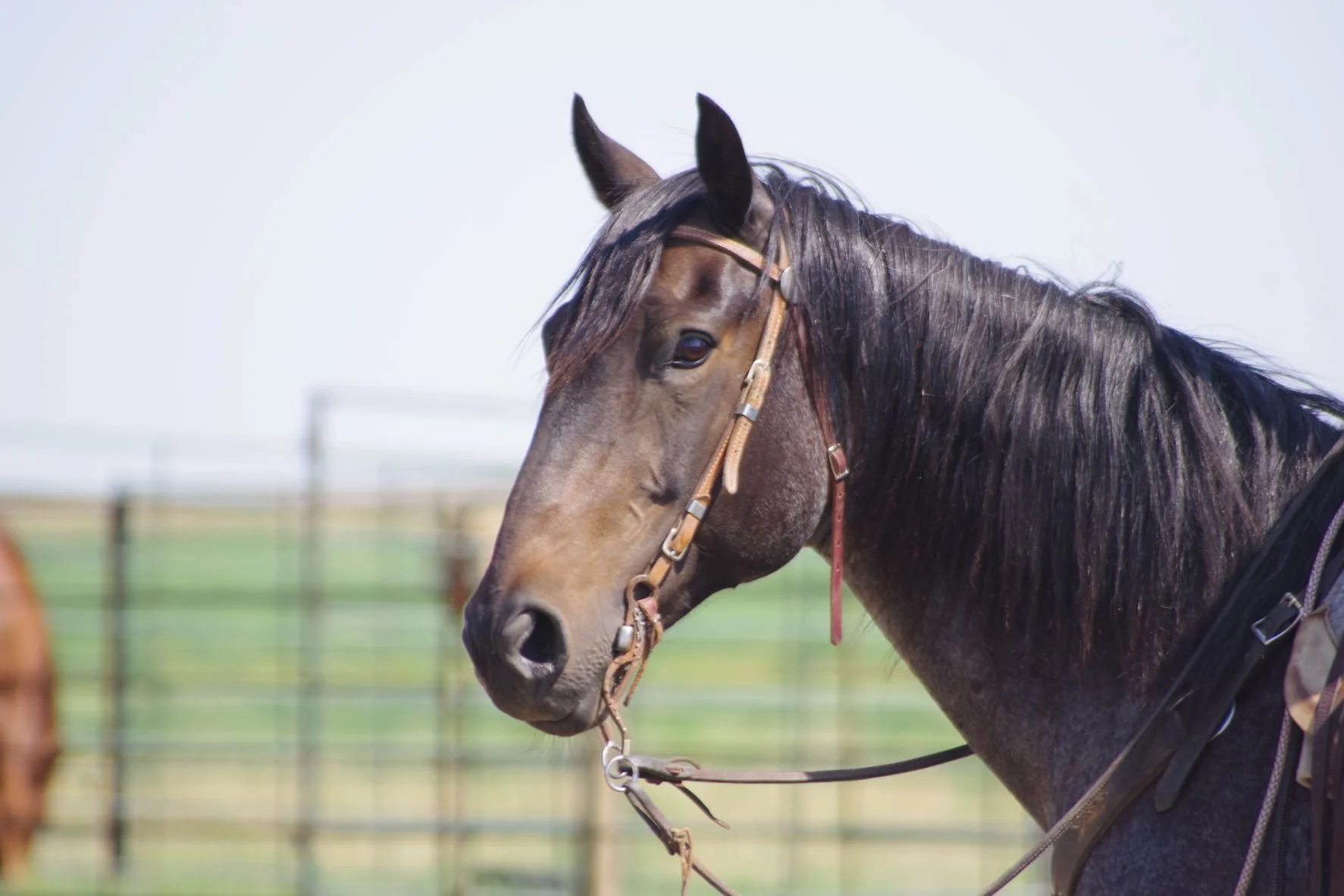 2025 Annual General Meeting 