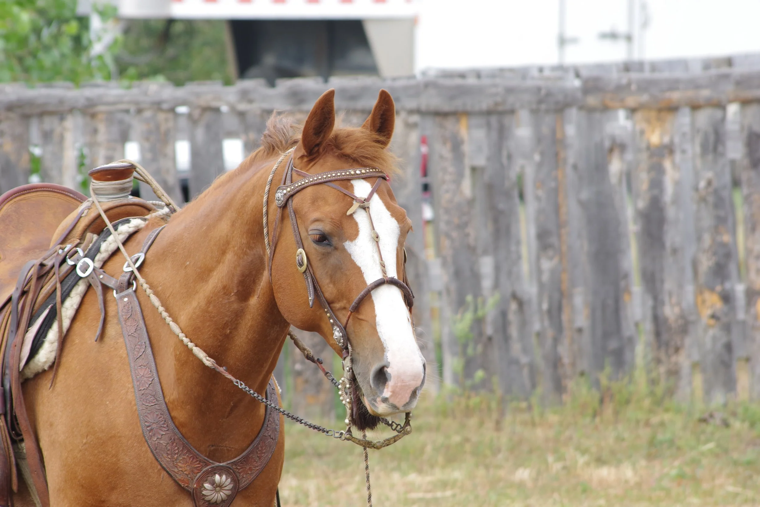 Coteau Range Ranch Roping 