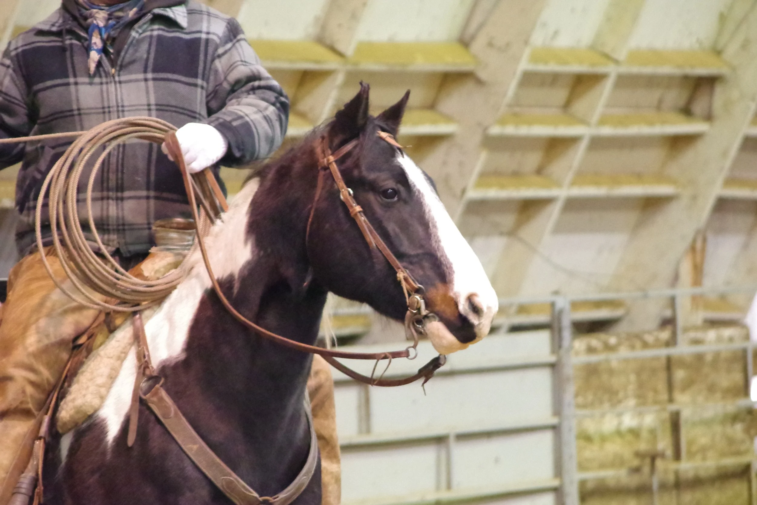 Waitin' for Spring:Winter Series #4 