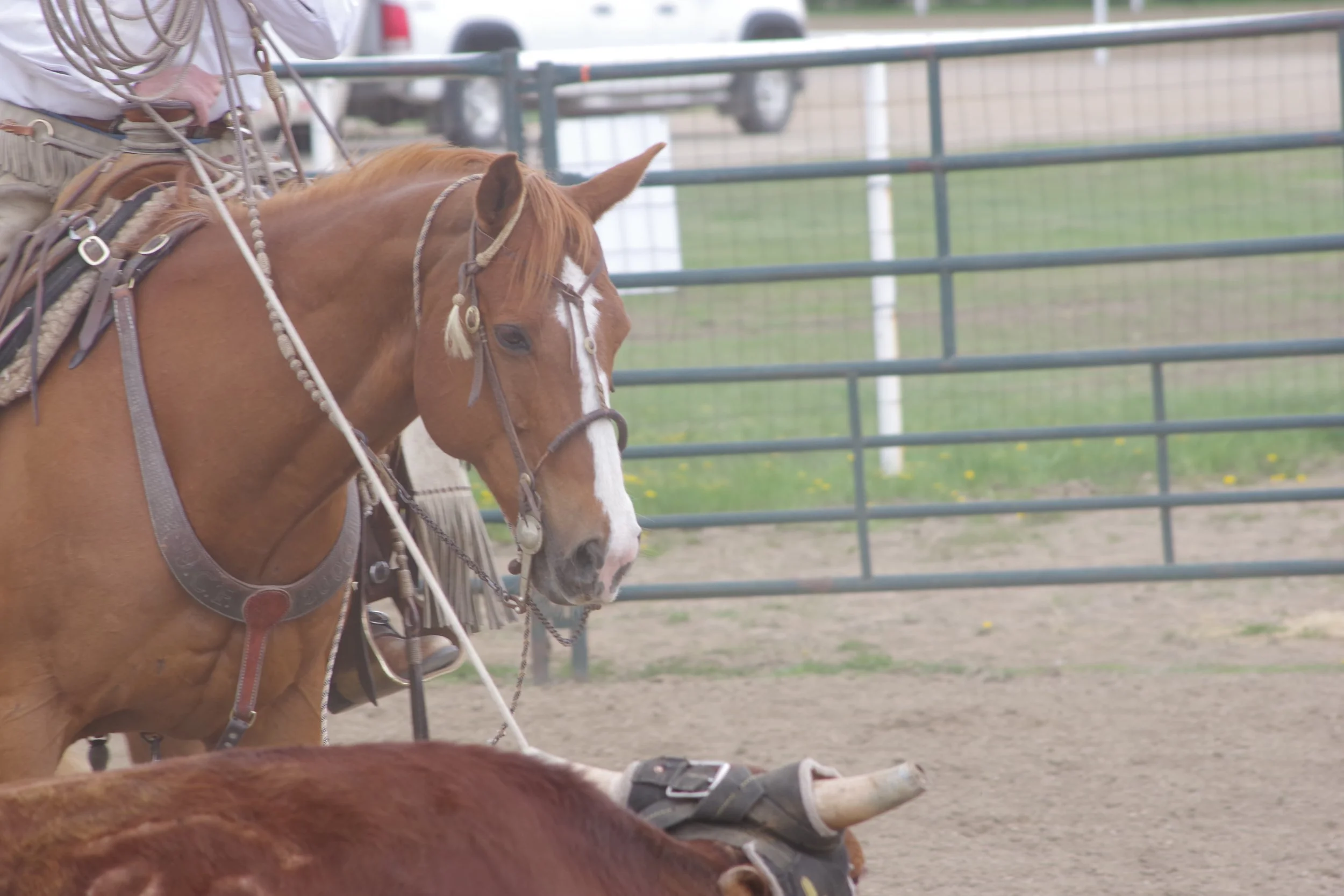 Waitin' for Spring: Winter Series # 6