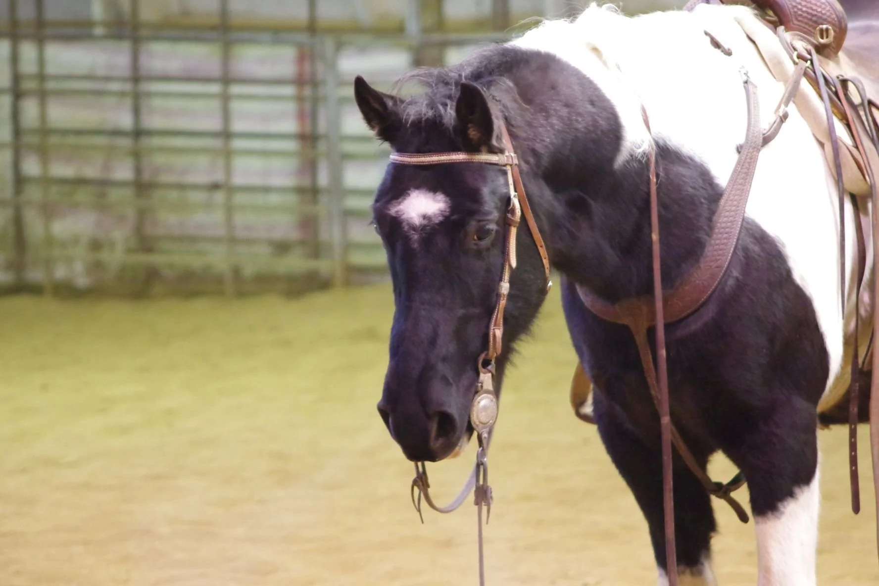 Waitin' for Spring:Winter Series #5