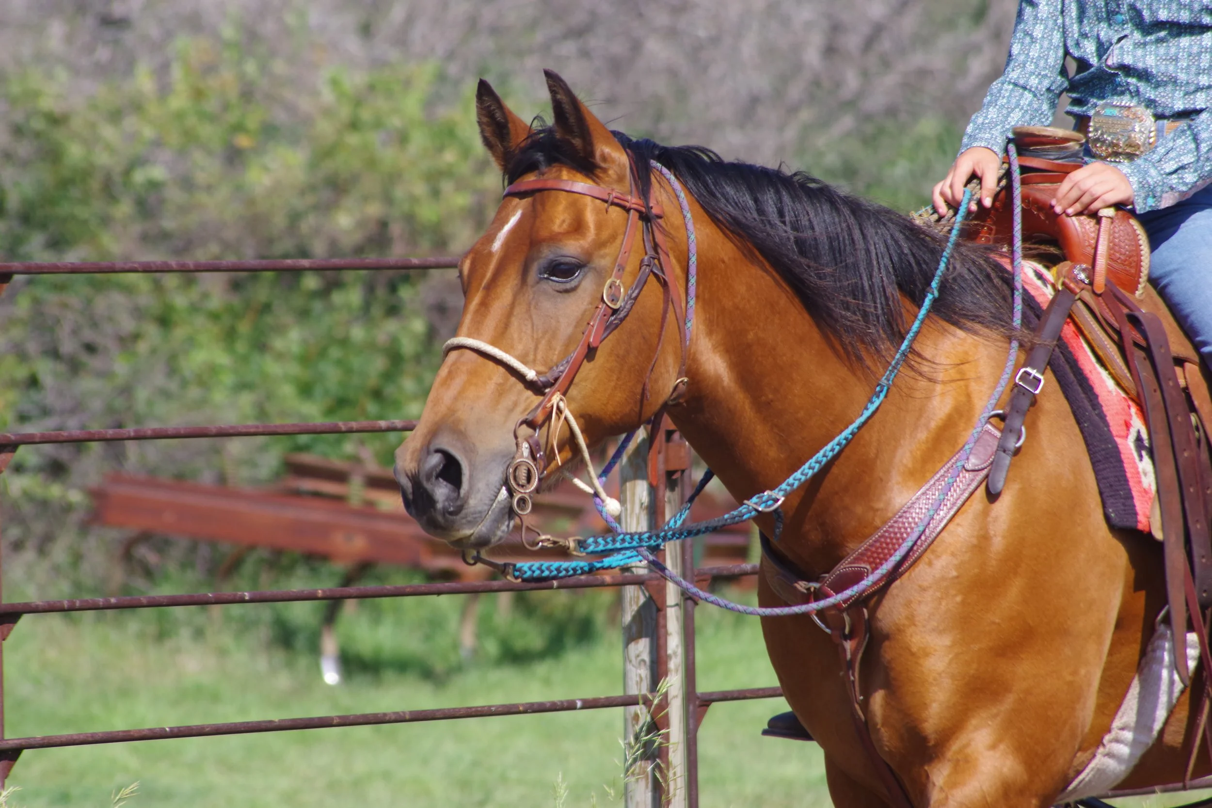 Coteau Ranch Ranch Roping 