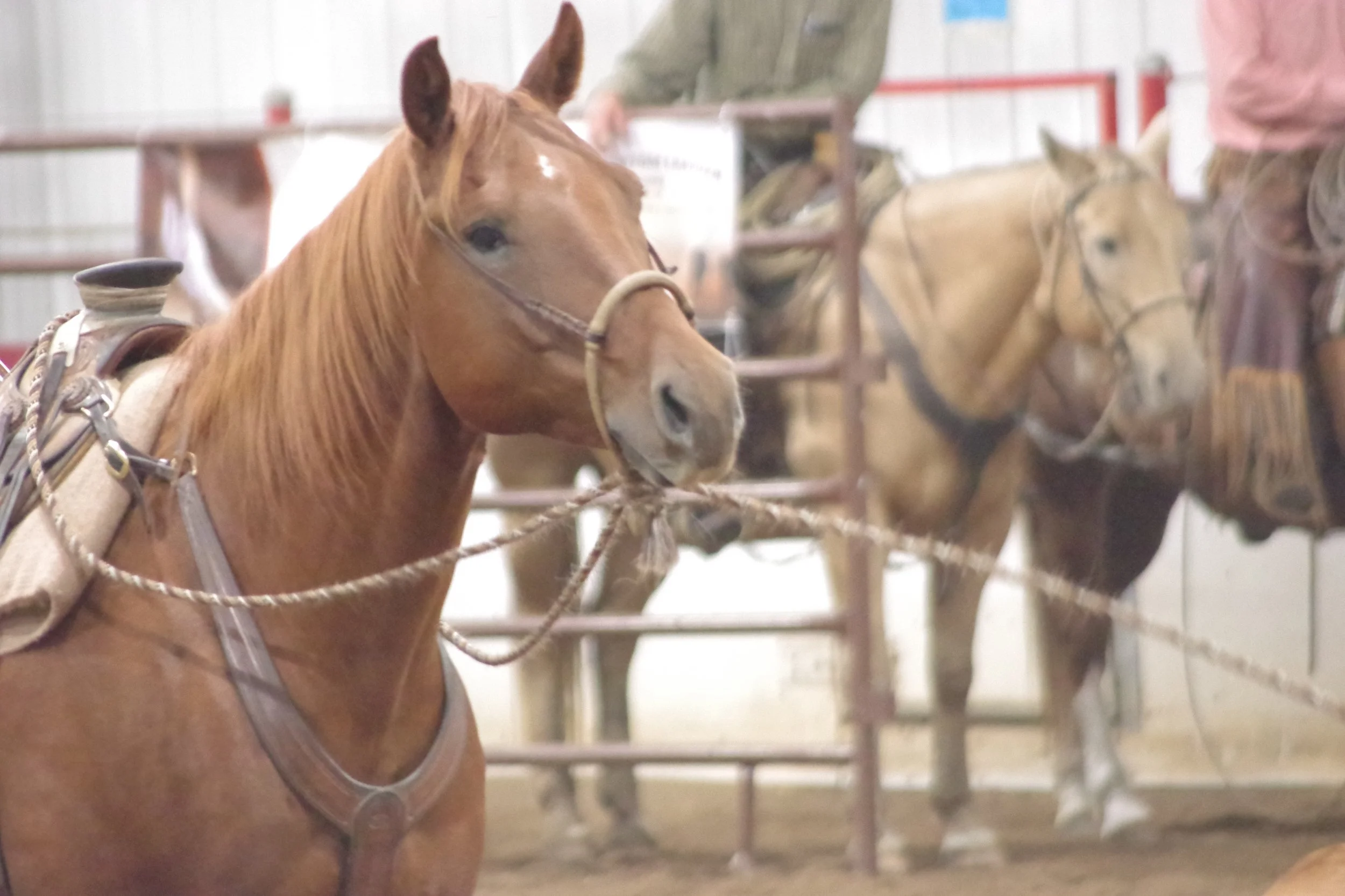 Waitin' For Spring:Winter Series #1