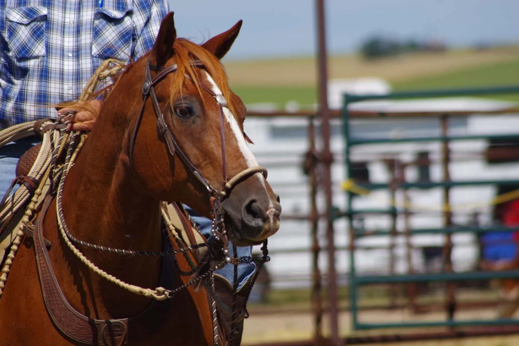 Waitin' for Spring:Winter Series #3