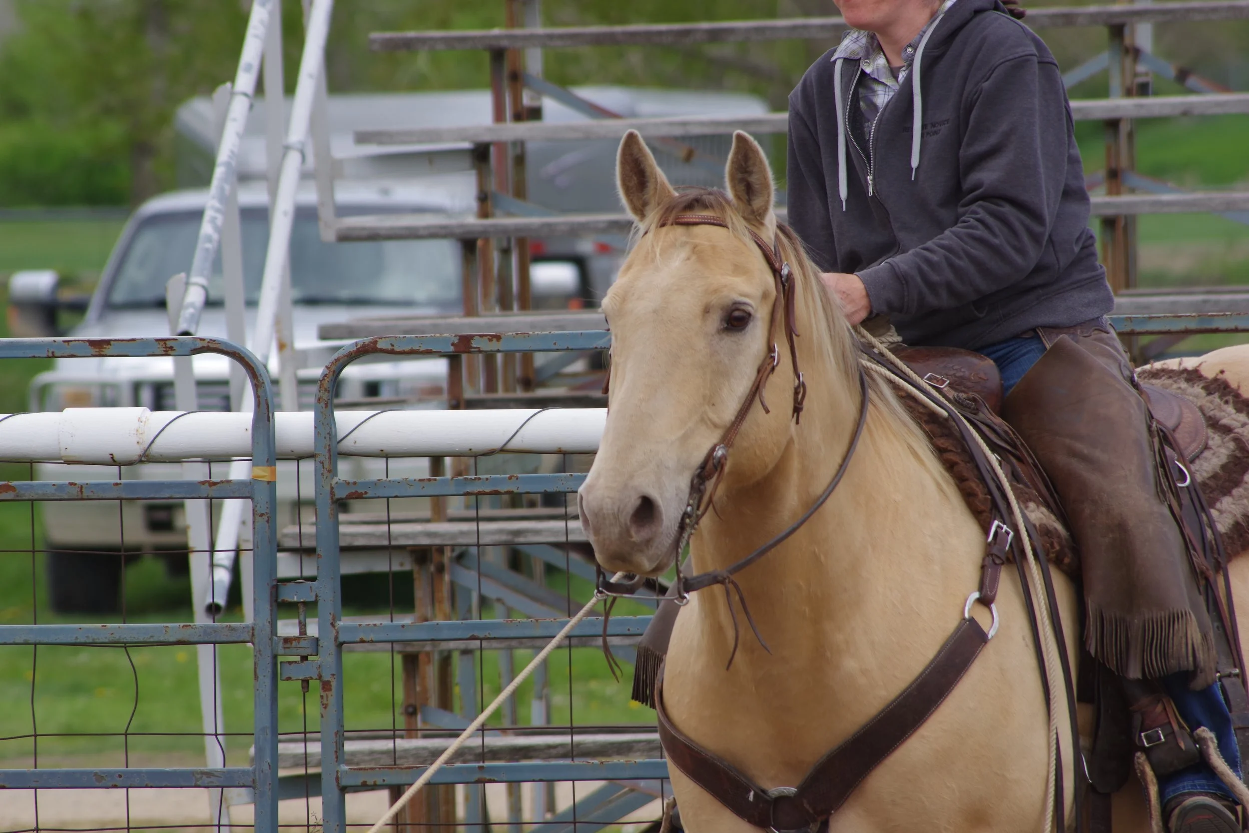 Fort Comfort Ranch Roping 