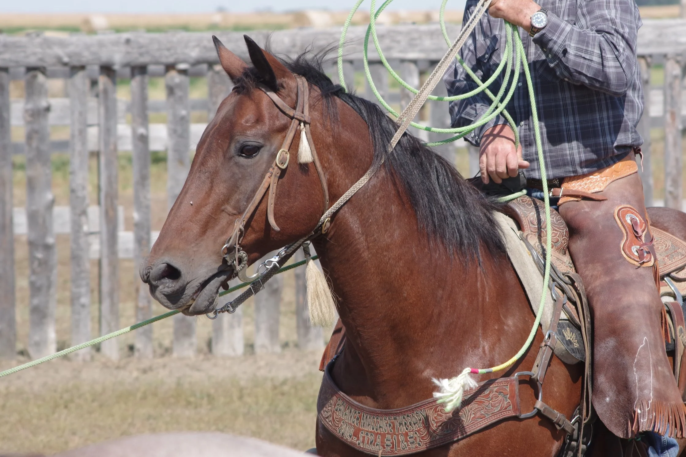 Moose Jaw Ranch Roping