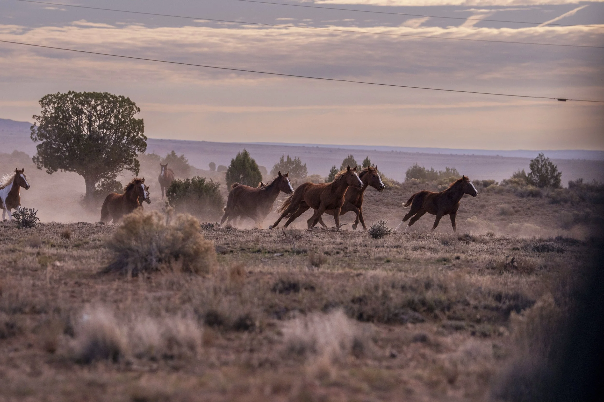 NAVAJO_NATION_015.JPG