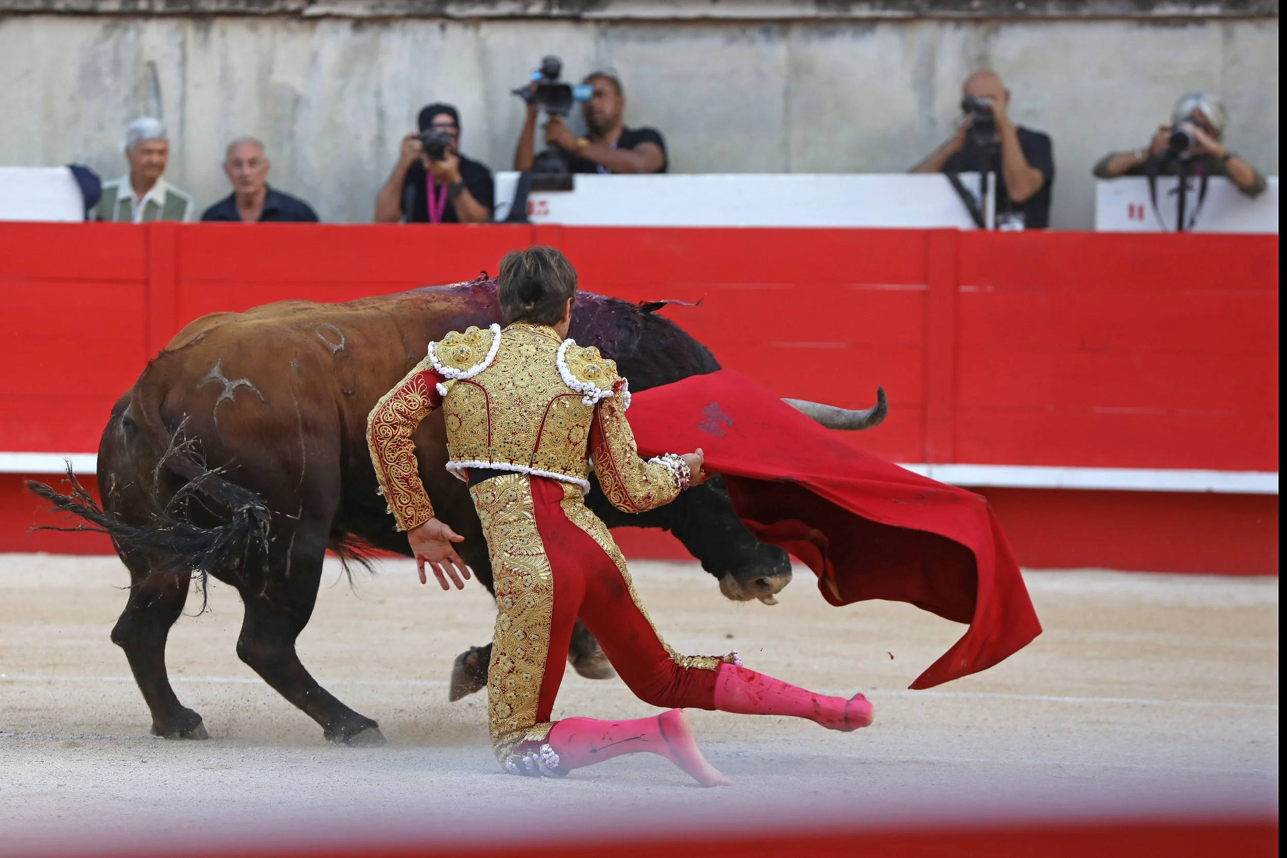 The Matador — Rick Findler Photography