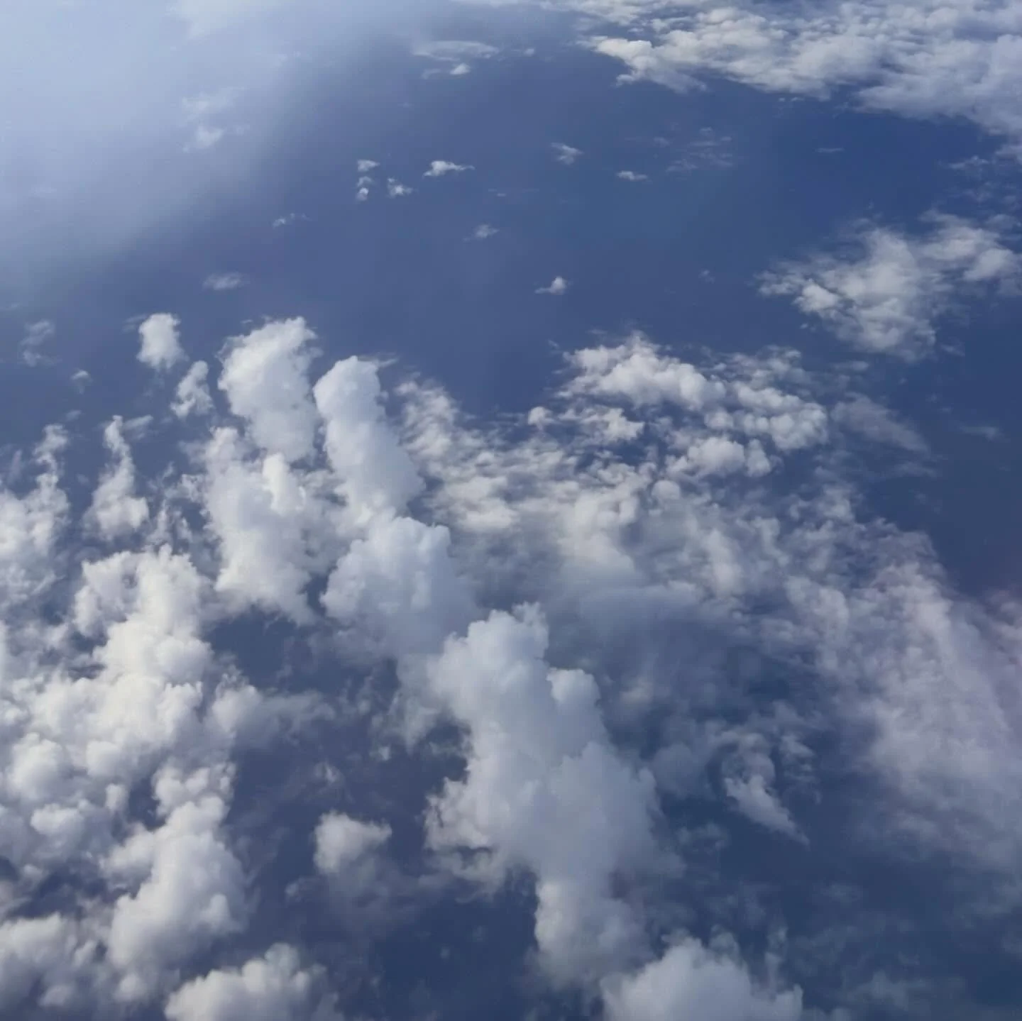 작년 한 해 그 어느 때보다 하늘과 물, 그리고 경계 너머의 땅을 종횡무진하며 지냈습니다. 내게 주어진 생명이 이토록 활발한 적이 있었나 싶을만큼 감사하는 마음으로 알토란 같이 살았어요. 기쁜 마음, 슬픈 마음 함께 나눌 친구들이 인도네시아와 대만, 한국 곳곳에 더 많아져서 감사합니다. 올해는 더하기보다 비우며, 익숙하지만 작은 범주에서도 풍요한 생명으로 살고 싶어요. 각자 주어진 생명답게, 활짝 피어나는 한 해 되기를 바라요. 🌿💕

La
