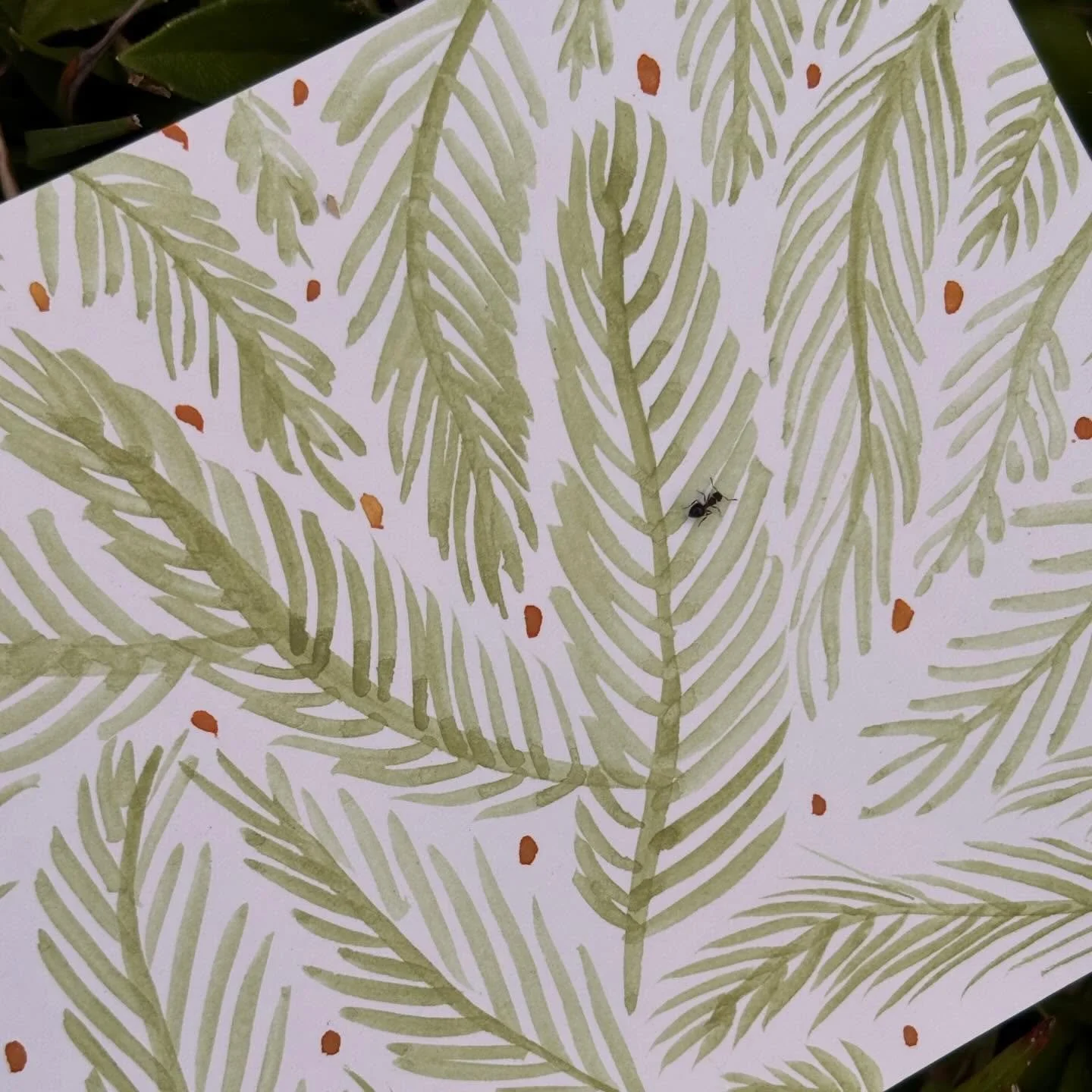 Living Patterns for A coexistence dictionary workshop at North Lombok 🙋🏻💚