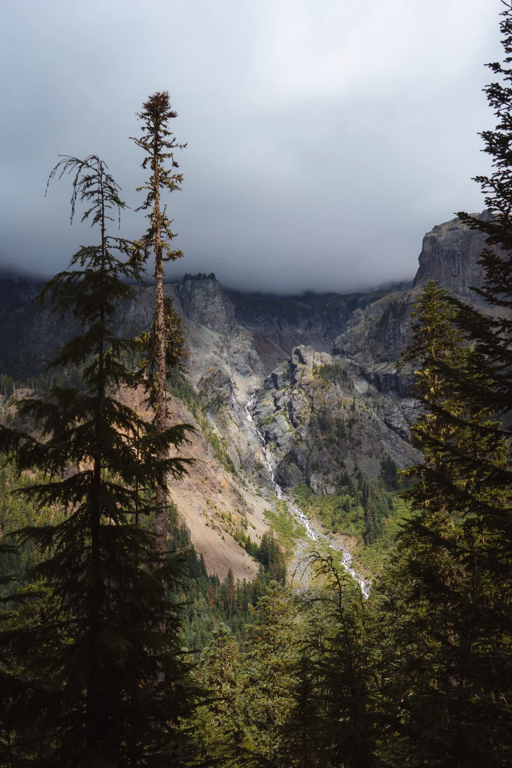 wonderland-trail-itinerary-day-3-9.jpeg