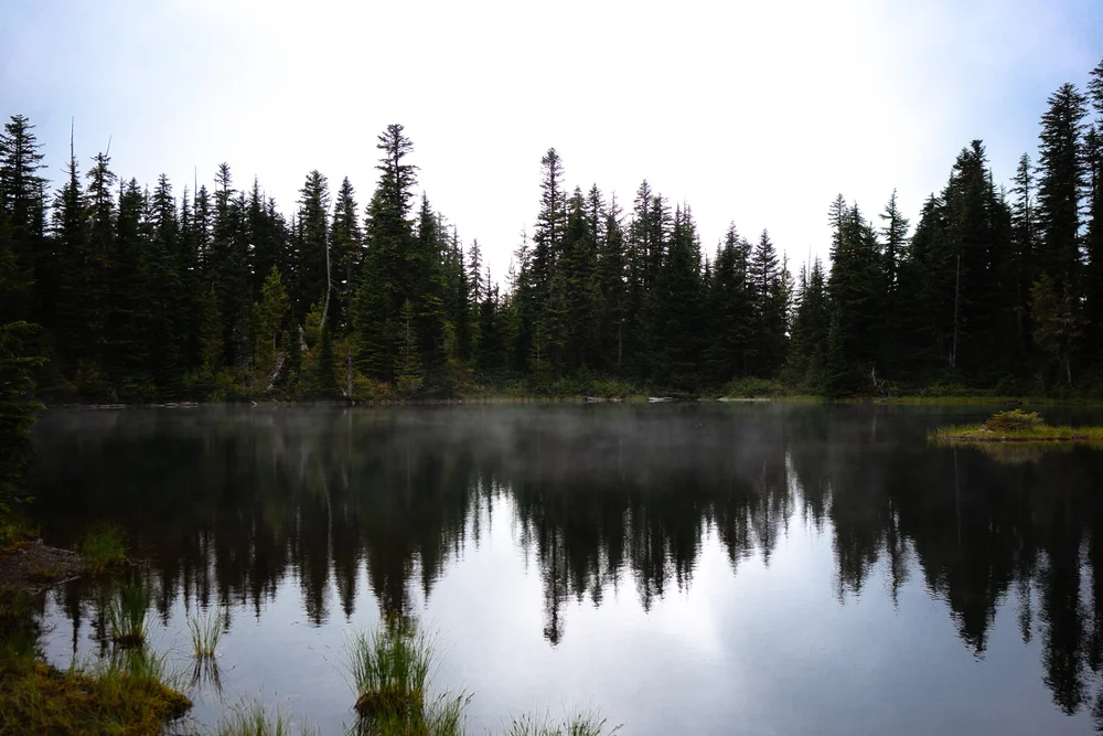 wonderland-trail-itinerary-day-3-5.jpeg