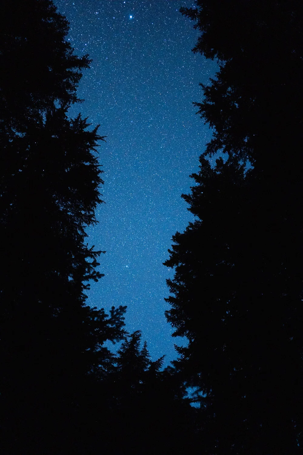 wonderland-trail-itinerary-day-5-11.jpeg