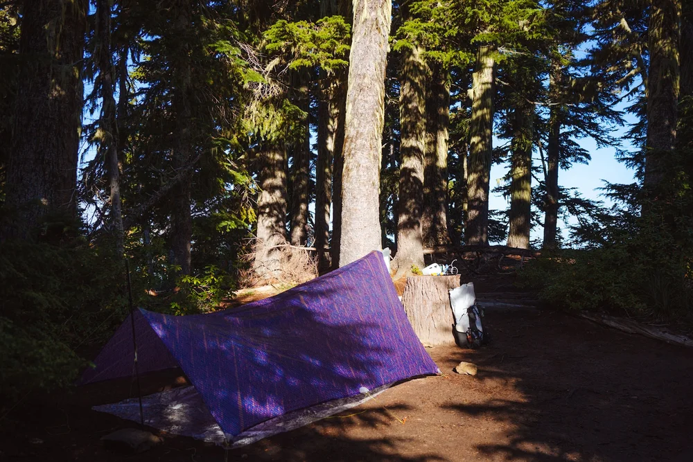 wonderland-trail-itinerary-day-5-2.jpeg
