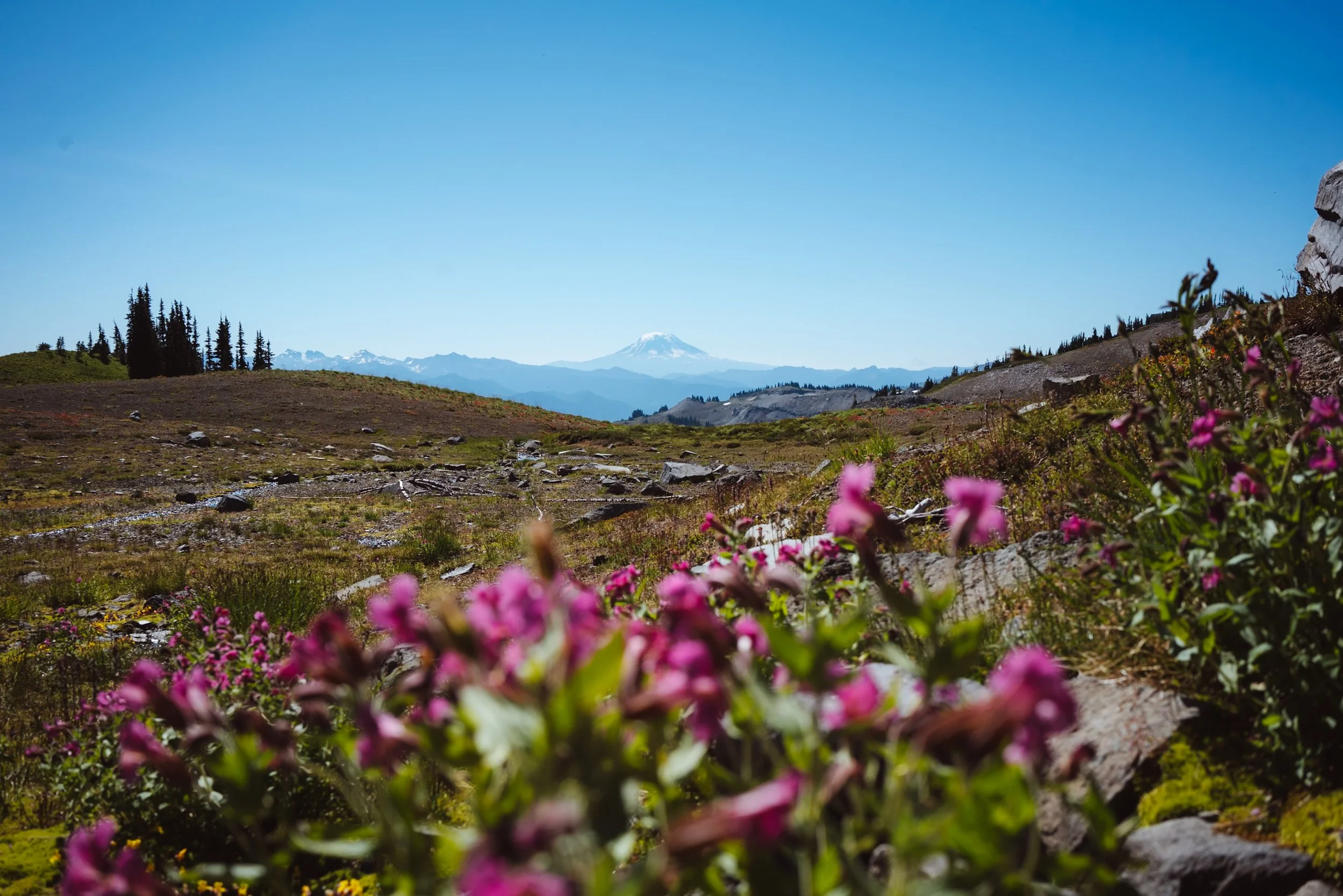 wonderland-trail-itinerary-6-days-day-6-8.JPG