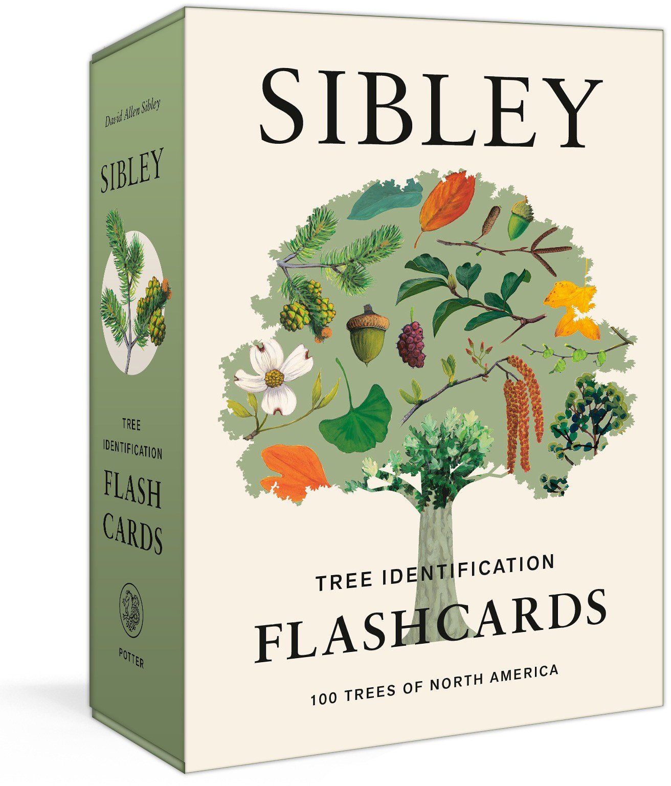 outdoorsy-gifts-stocking-stuffers-nature-flash-cards-trees.jpeg