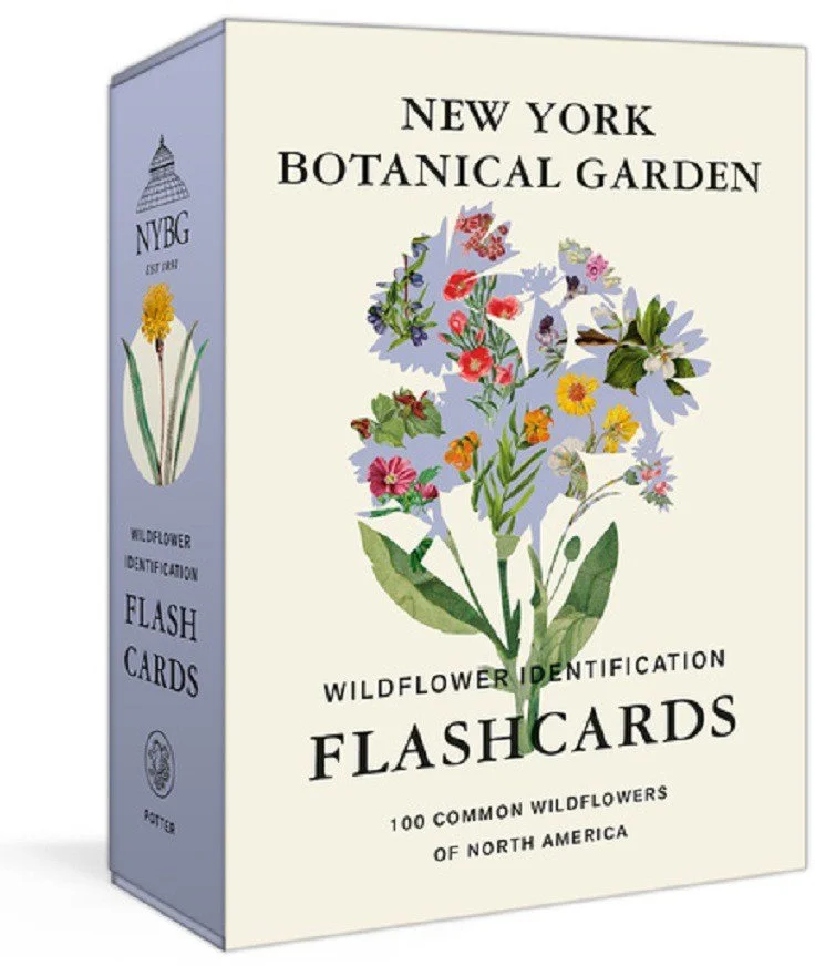 outdoorsy-gifts-stocking-stuffers-nature-flash-cards-wildflowers.jpeg