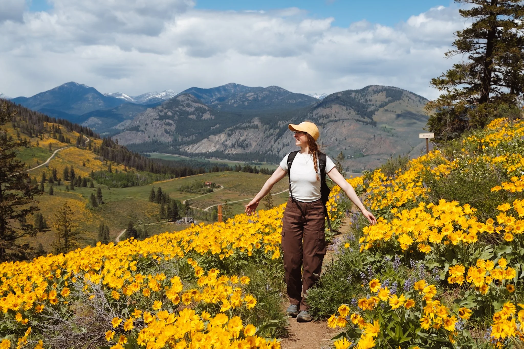 best women's hiking pants prana stretch zion cargo pants hiking in washington state wildflowers and mountains