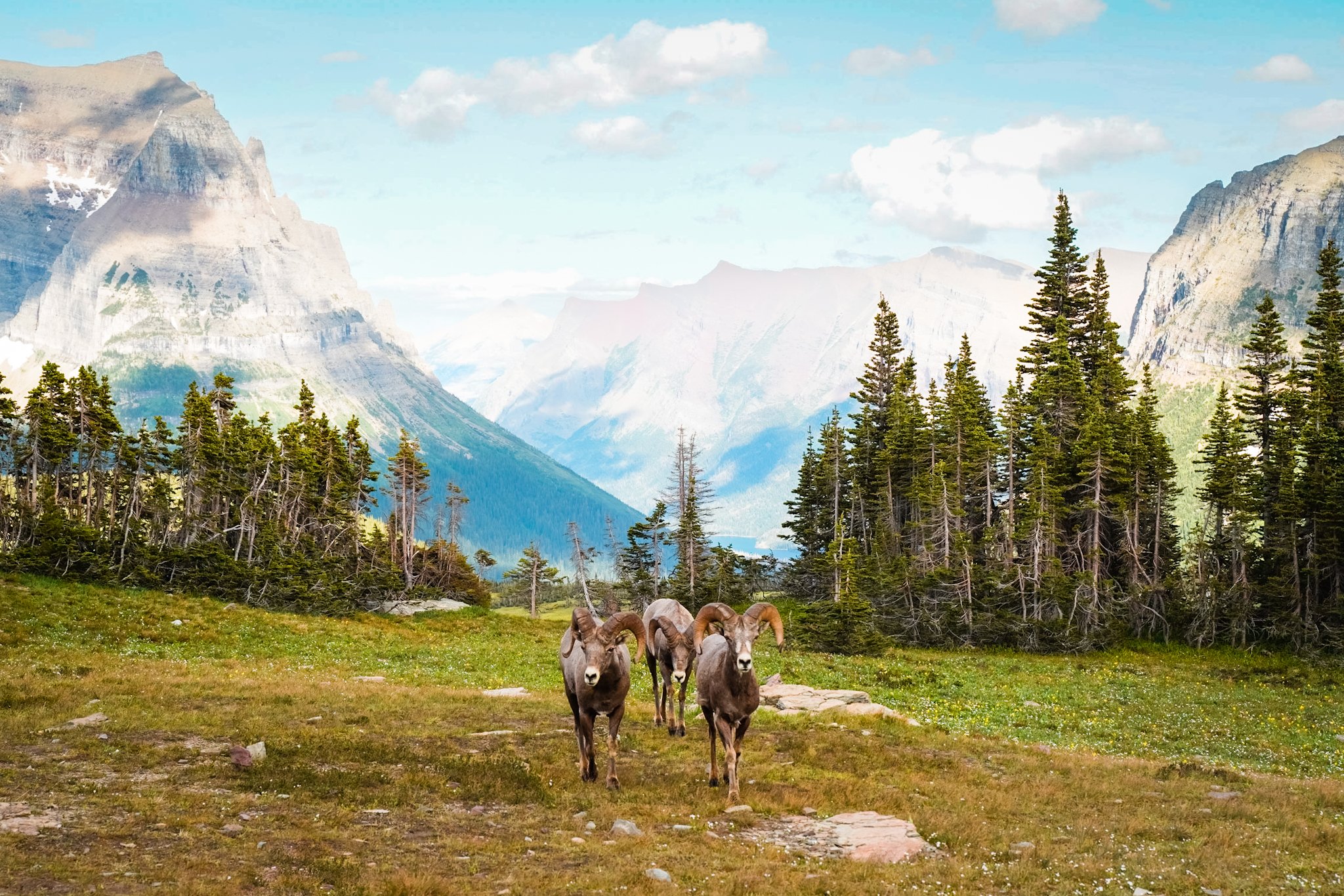 Glacier National Park: Guide to the West Side — Erin Exploring