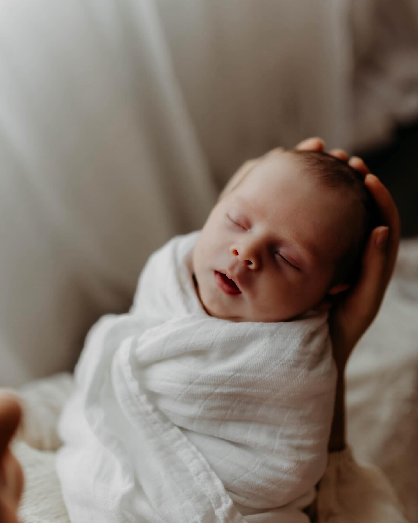 I have been blessed with so many newborns in my studio lately! 😍 I got lots of snuggles from sweet Layton. He was the happiest little boy as long as he was being held. 

I love these lifestyle newborn sessions so much! If you&rsquo;re expecting this