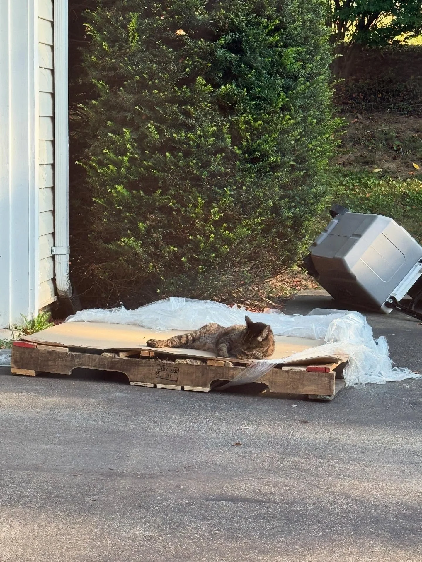 The new server arrived on the pallet. Now who needs it installed?