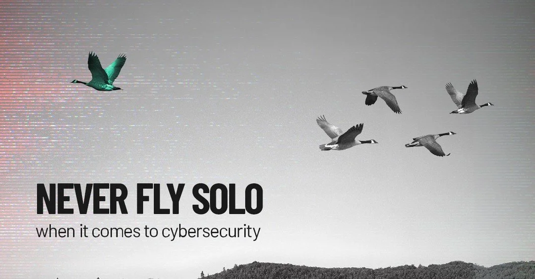 Birds don&rsquo;t fly solo for a reason. The formation helps them stay on course and go farther together.

Cybersecurity works in the same way. Internal IT employees know the business, but they shouldn&rsquo;t have to cover every security challenge a
