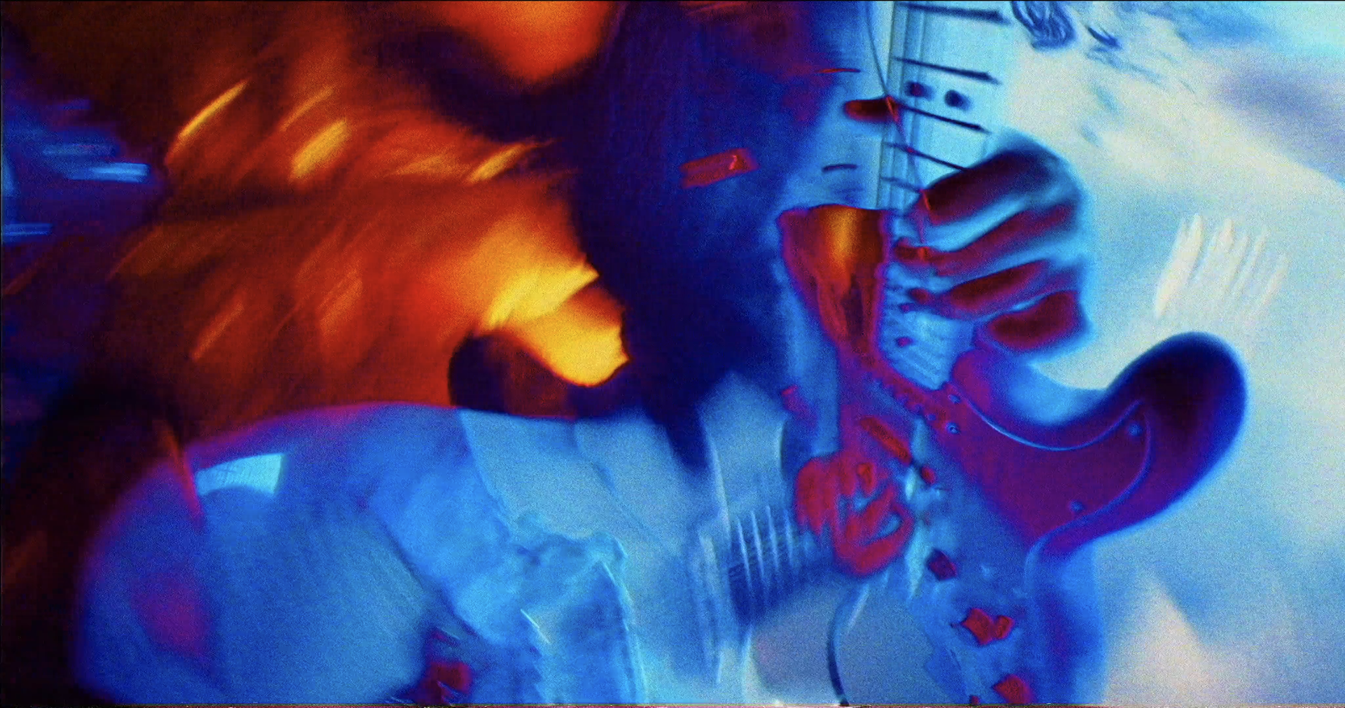 elephant | music video