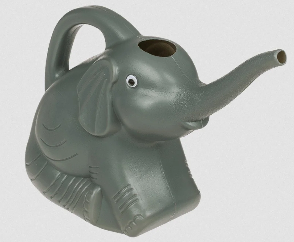 arrosoir, éléphant, gris, out of the blue, fleurs, arroser, eau, plantes - Copie.jpg