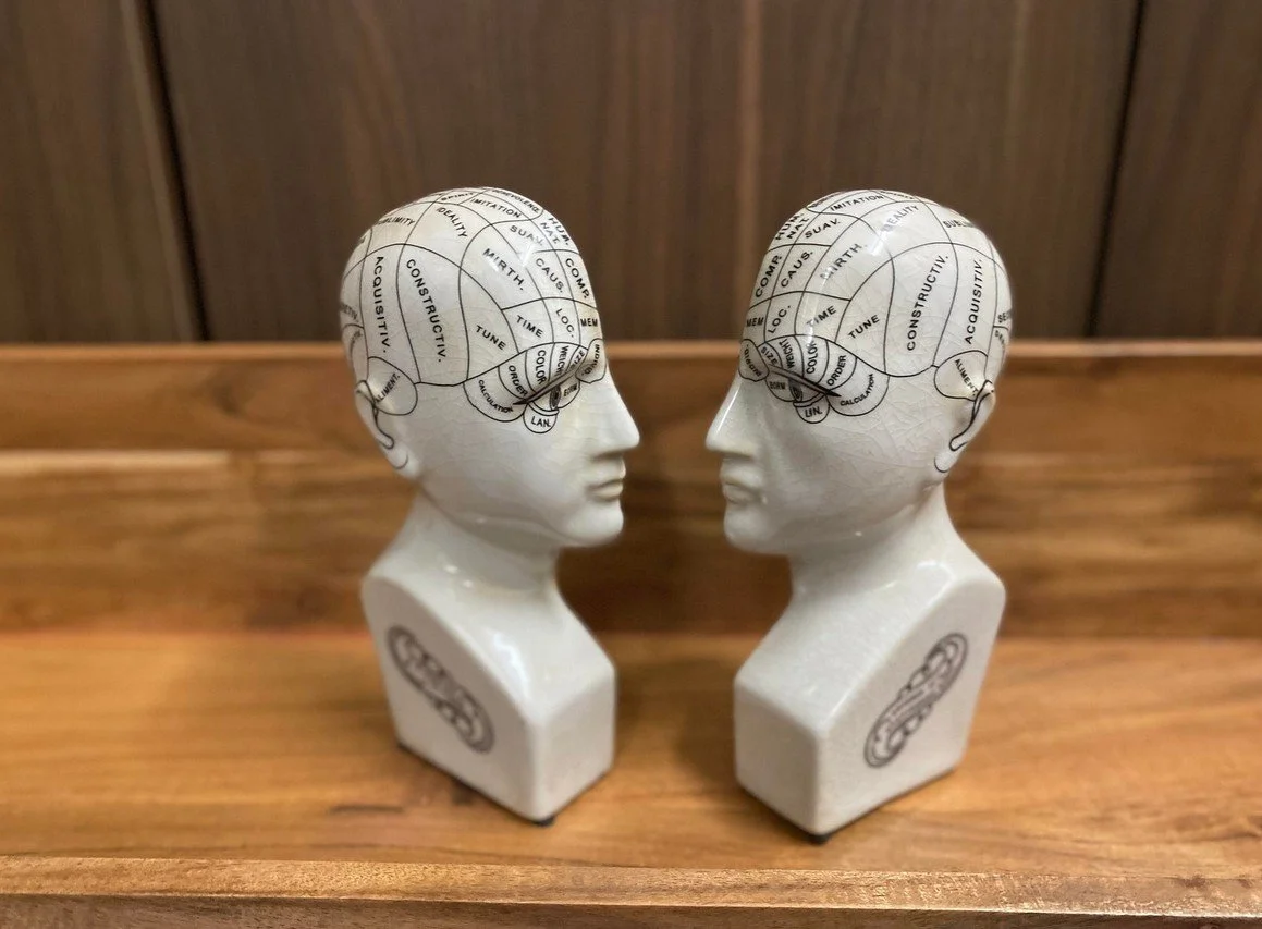 paire de serre-livres, visage, tête, cases, blanc.jpg