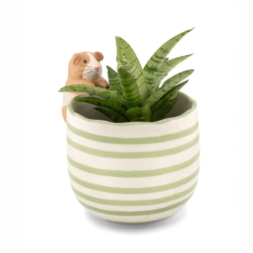 Cache Pot Cochon d'Inde - Sass&Belle