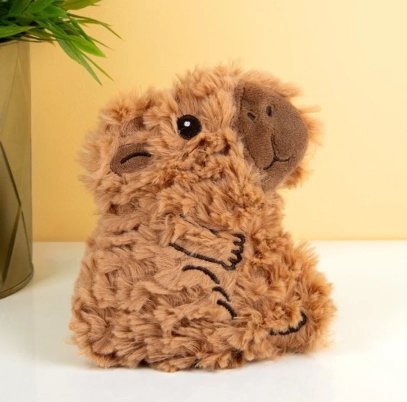 bouillote, petite, capybara, bitten, animal , mignon.jpg