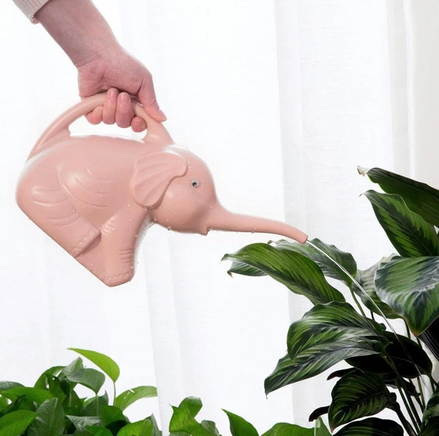 Arrosoir Eléphant - Out of the blue