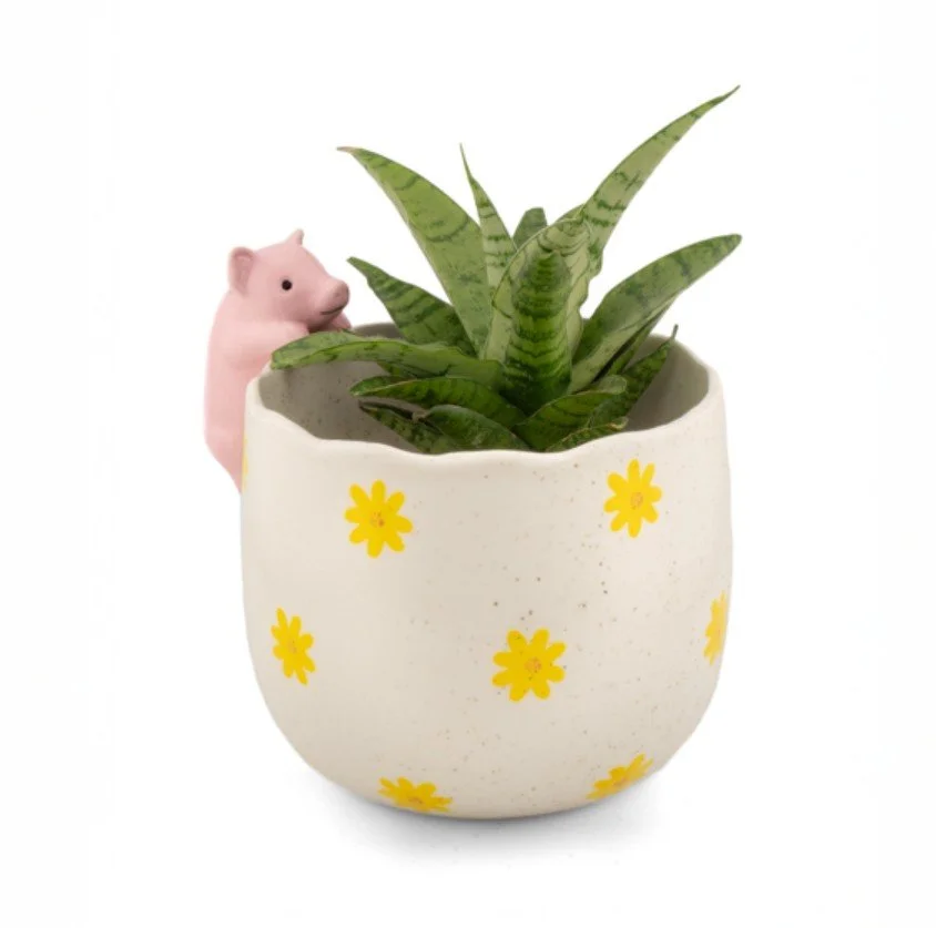 Cache Pot cochon - Sass&Belle