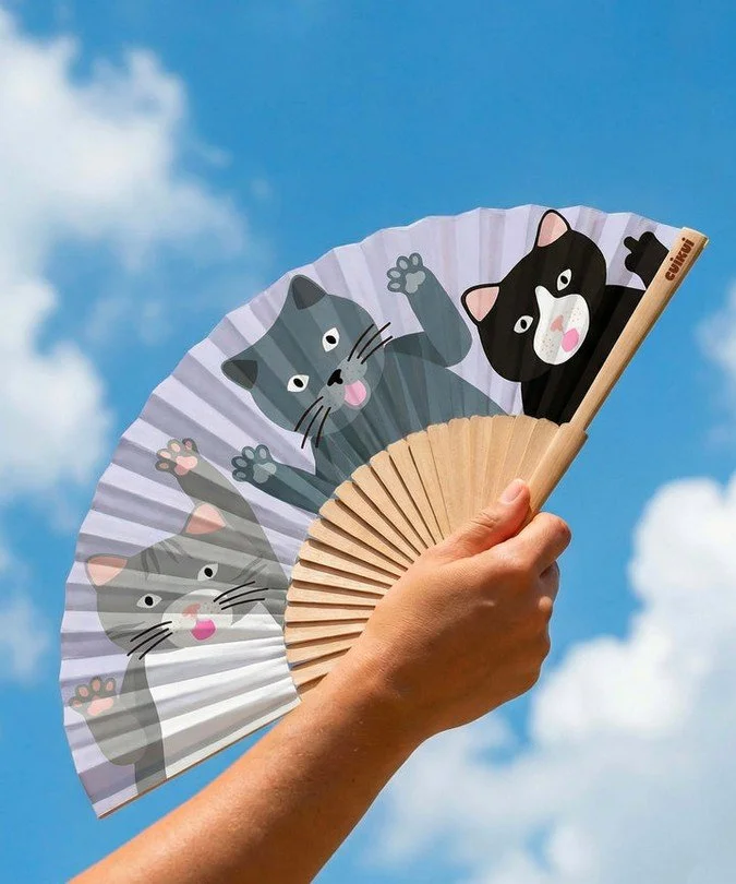 éventail, cuikui, chats, trois, mignon, fun, chaud; chaleur, agiter, objet, vent, air.jpg