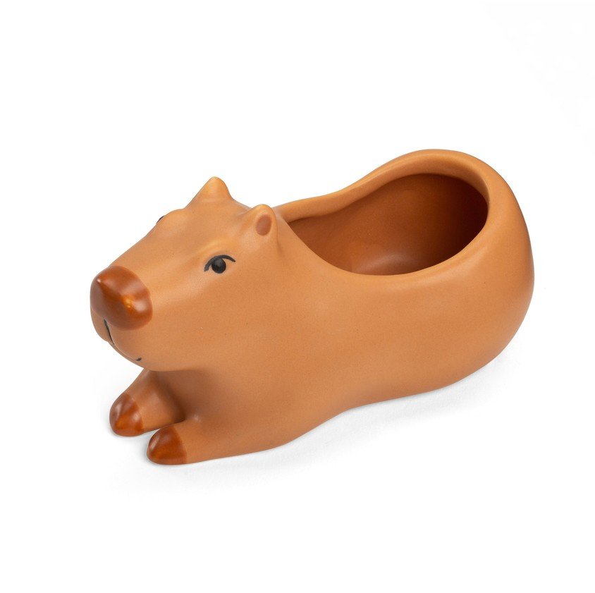 jardinière, capybara, kikkerland, animal, marron, petit, plante.jpg