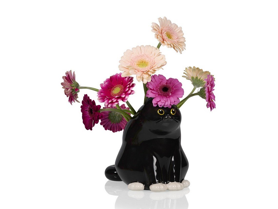 vasen chat noir, bitten , fleurs, animal, mignon, gros.jpg
