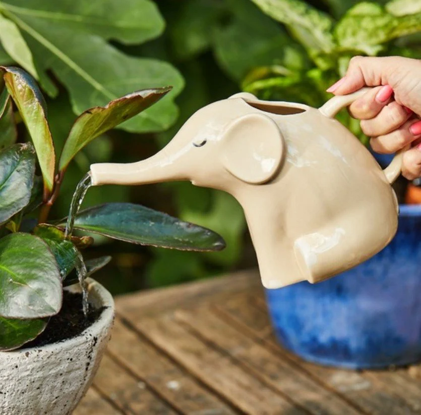 arrosoir, éléphant, sass&belle, animal, verse, trompe, plantes, fleurs, jardin, eau, pratique.jpg