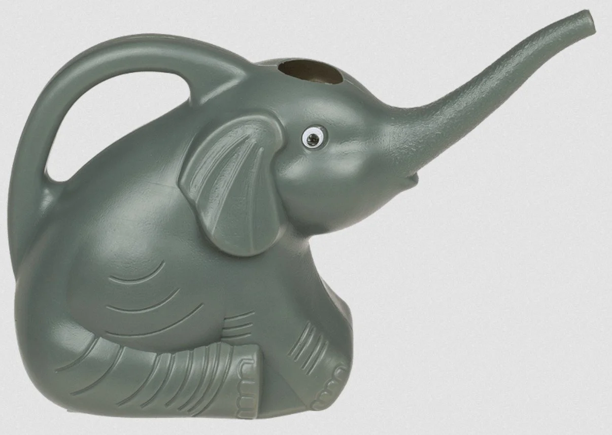 arrosoir, éléphant, gris, out of the blue, fleurs, arroser, eau.jpg