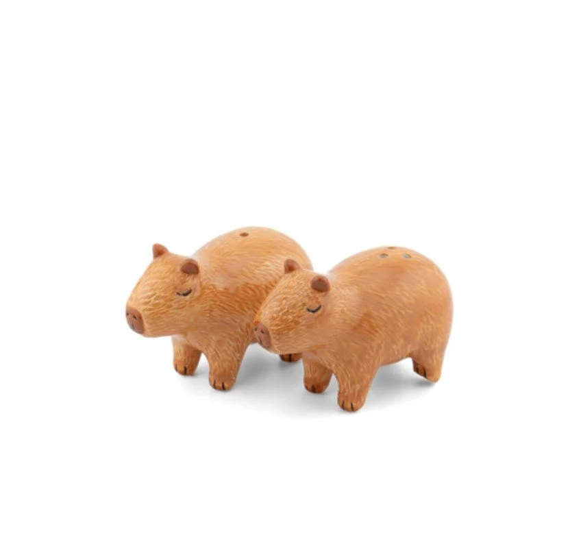 salière et poivrière, capybara, sass&belle, animal, sel et poivre, mignon.jpg