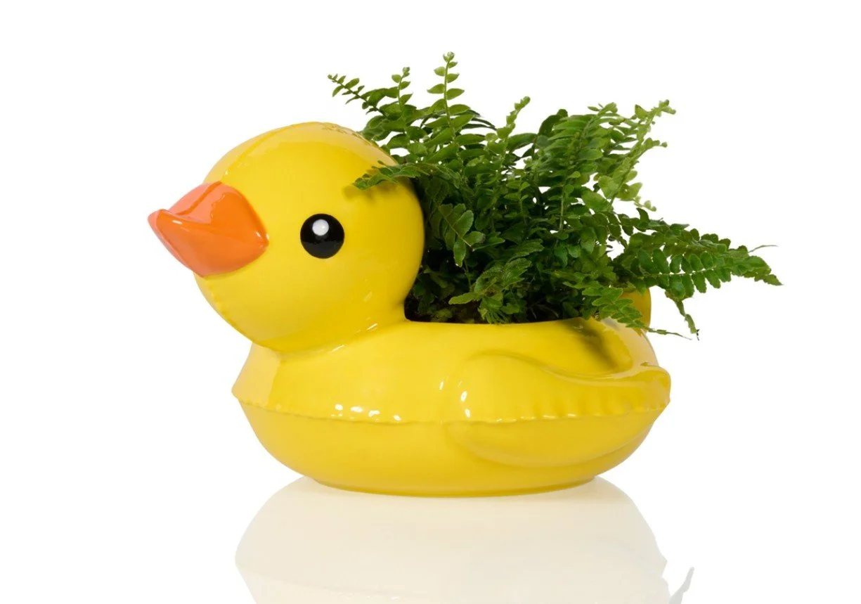 pot, canard, jaune, bitten, bouée, bain, animal, fleurs, bonbons.jpg
