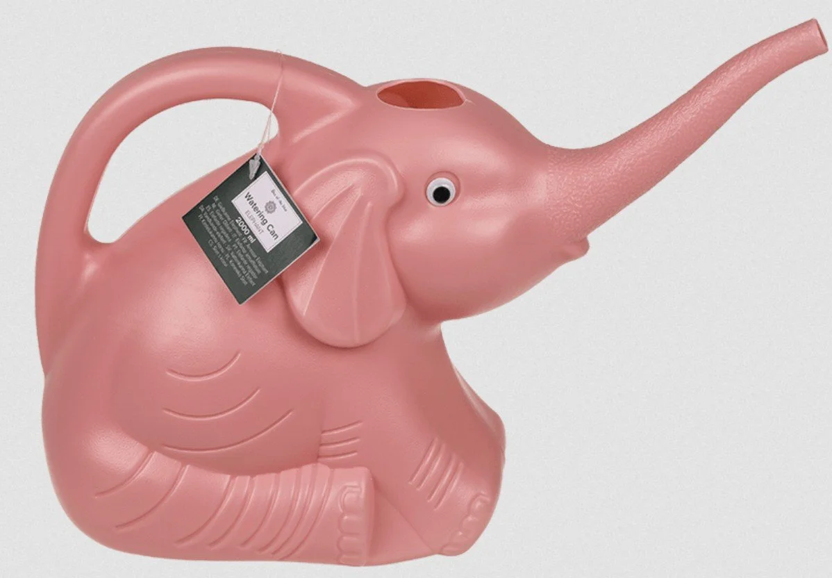 arrosoir, éléphant, rose, out of the blue, fleurs, arroser, eau, plantes.jpg
