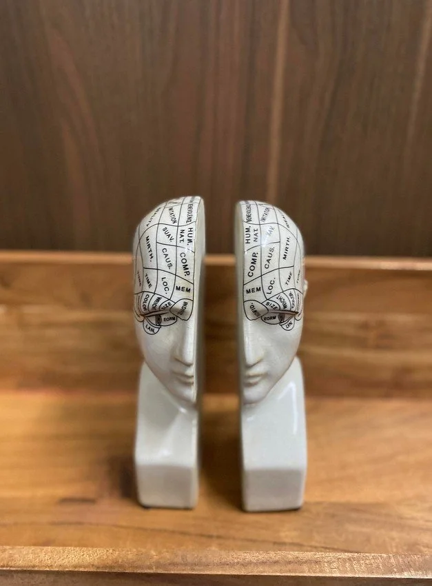 paire de serre-livres, visage, tête, cases, blanc, phrénologie.jpg
