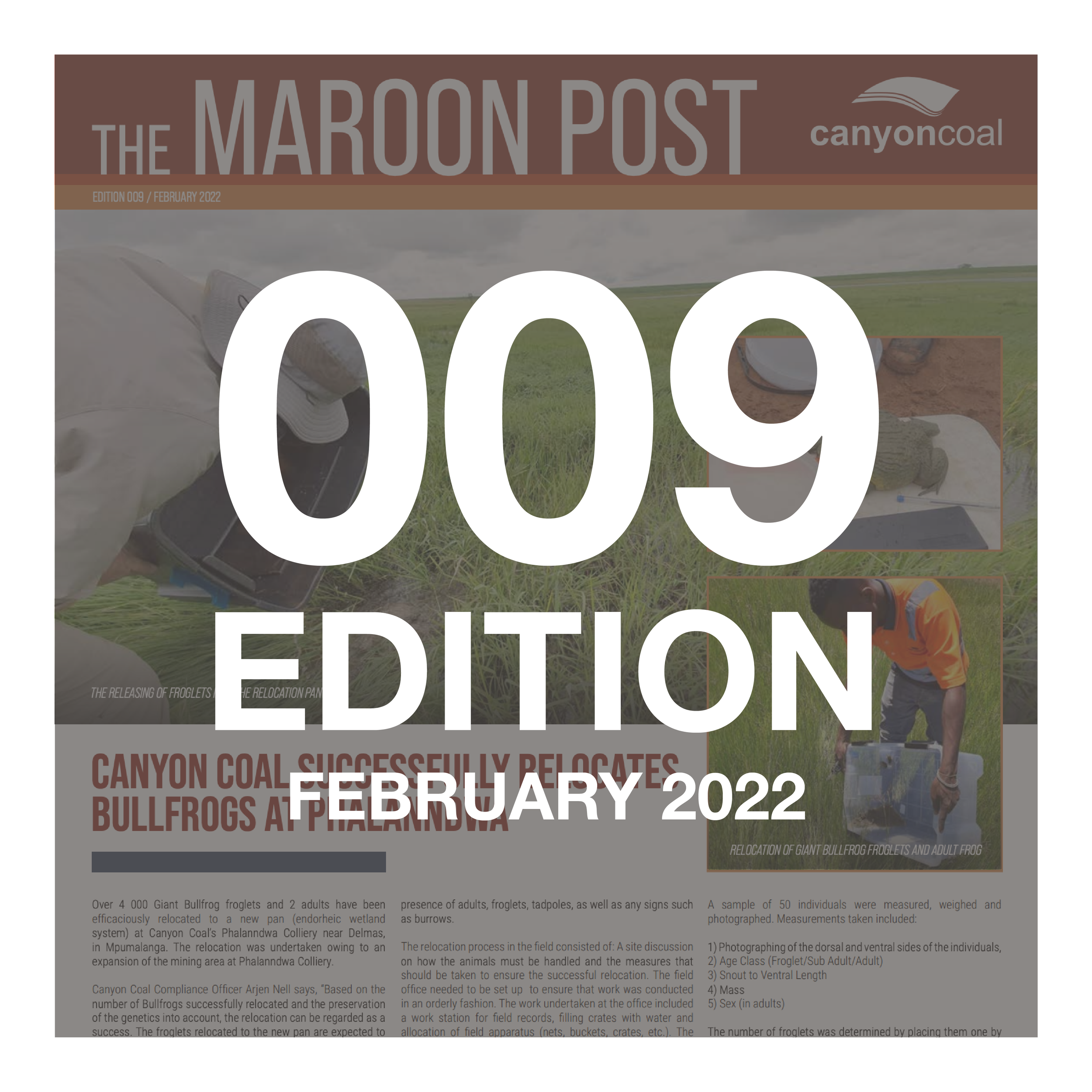 cny-maroon-post-cover-tumbnail-009-01.png