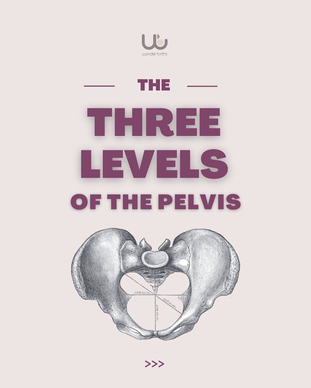 Did you know that the pelvis is actually made up of three distinct layers?⁣
⁣
These layers are the INLET, MID-PELVIS and OUTLET. Each layer has its own unique characteristics that make it possible to birth a baby. ⁣Scroll through to find out more!
⁣
