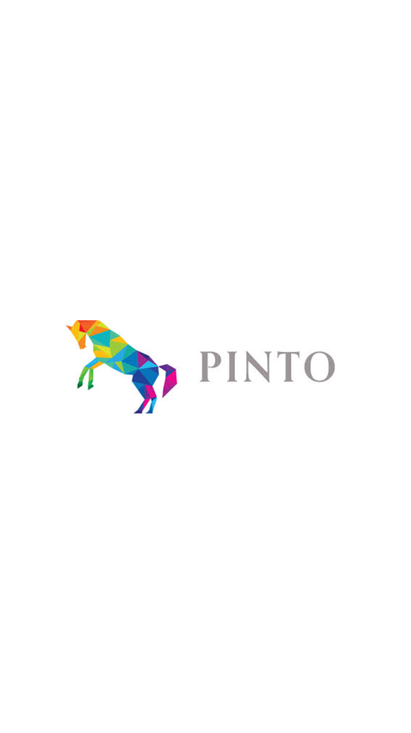 pinto media.png