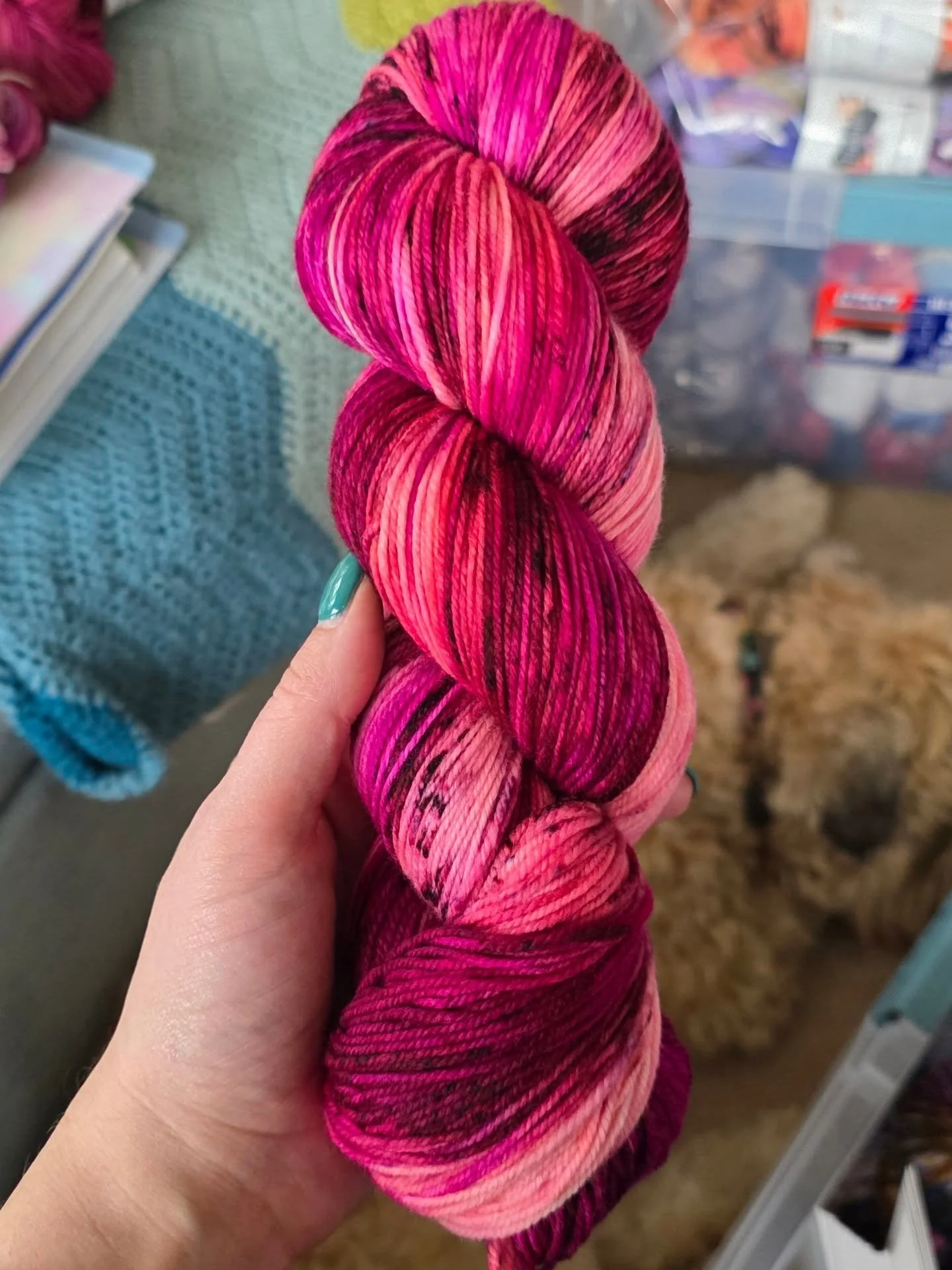 So many beautiful colors have been coming out of the pans lately. See any favorites? #handdyedyarn