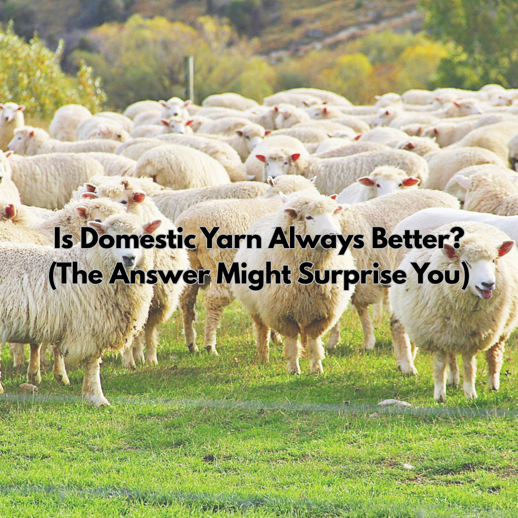 Is Domestic Yarn Always Better? (The Answer Might Surprise You)