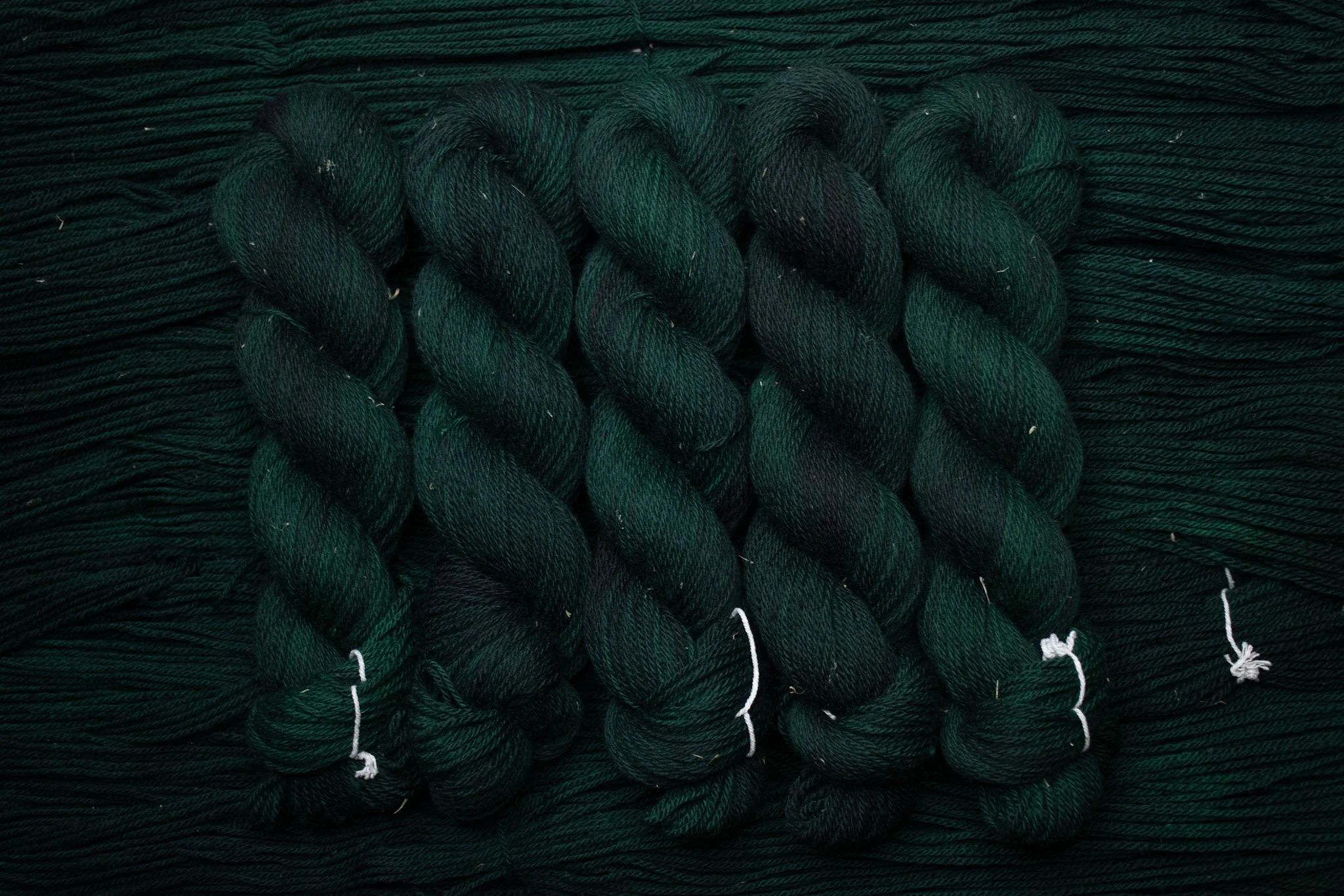 Emerald Dream Forest