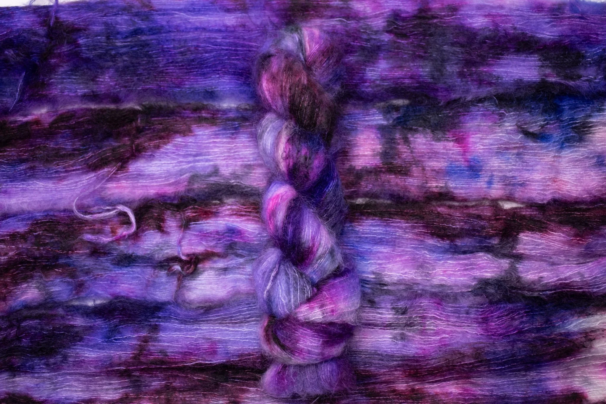 Susan B Anthony on Head in the Clouds